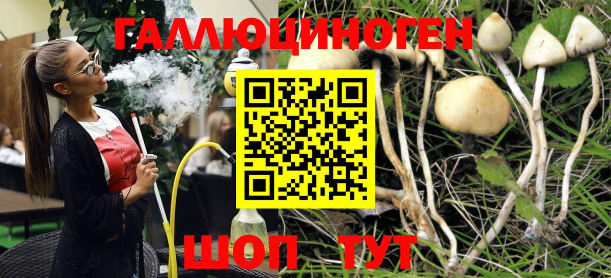 купить наркотики сайты  Псилоцибиновые грибы ЛСД  Галлюциногенные грибы Psilocybe  Вход с VPN  Бутурлиновка 