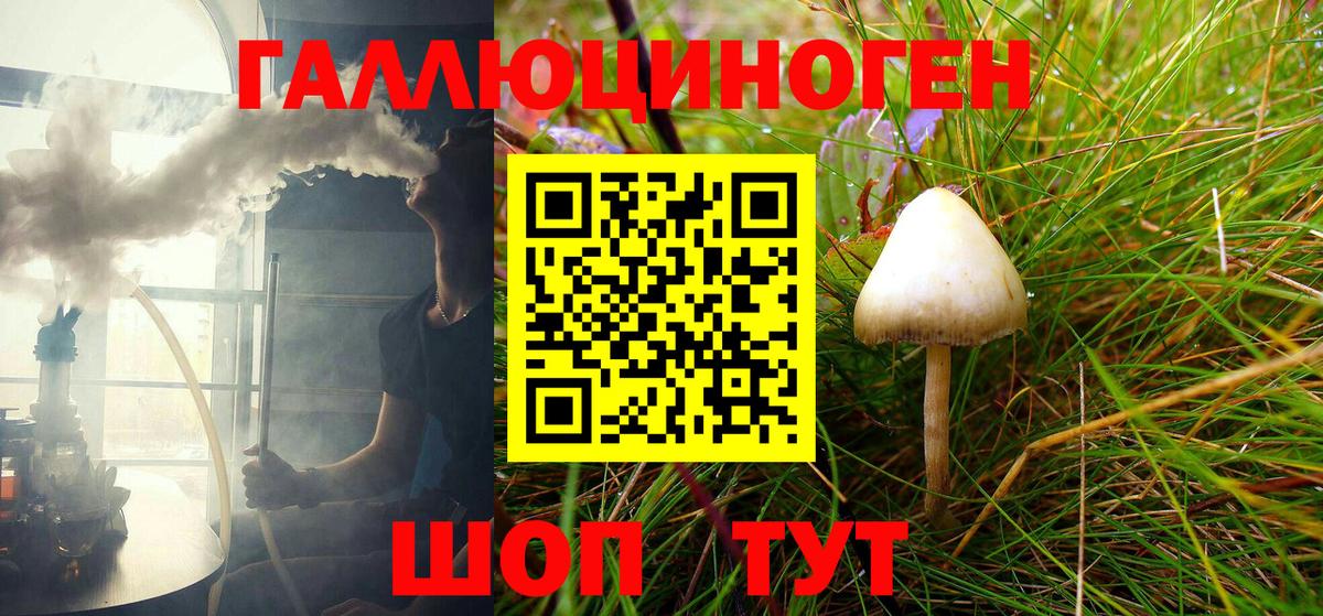 Галлюциногенные грибы Cubensis Бутурлиновка